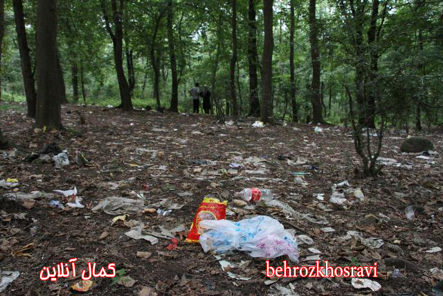 جنگل های آمل در تسخیر زباله  عکس: بهروز خسروی