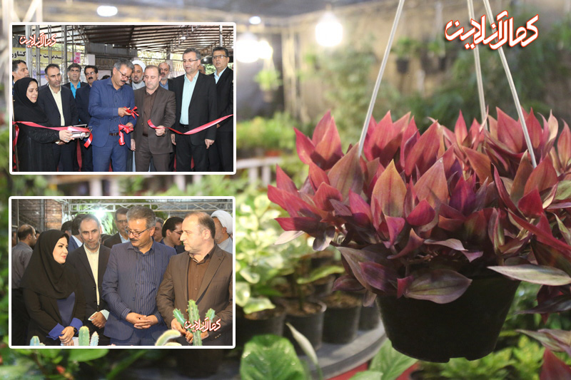 گزارش تصویری کمال آنلاین ، افتتاح نمایشگاه گل وگیاه درمرکز نمایشگاه تخصصی آمل 