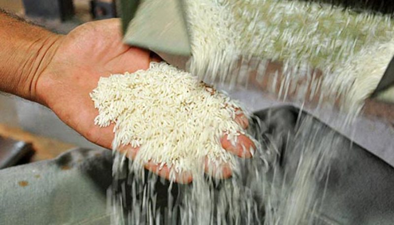  تولید 800 هزارتن برنج سفید در کشت اول مازندران