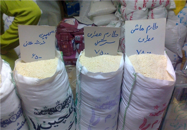 آمل برنج بیش از 4 میلیون ایرانی را تامین می‌کند