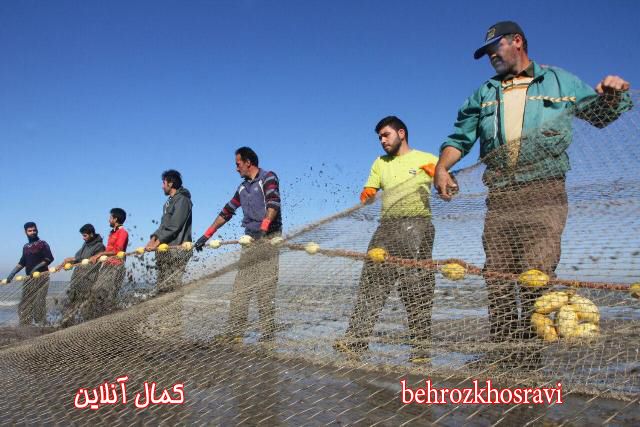 صید ماهی در مازندران از نگاه دوربین بهروز خسروی