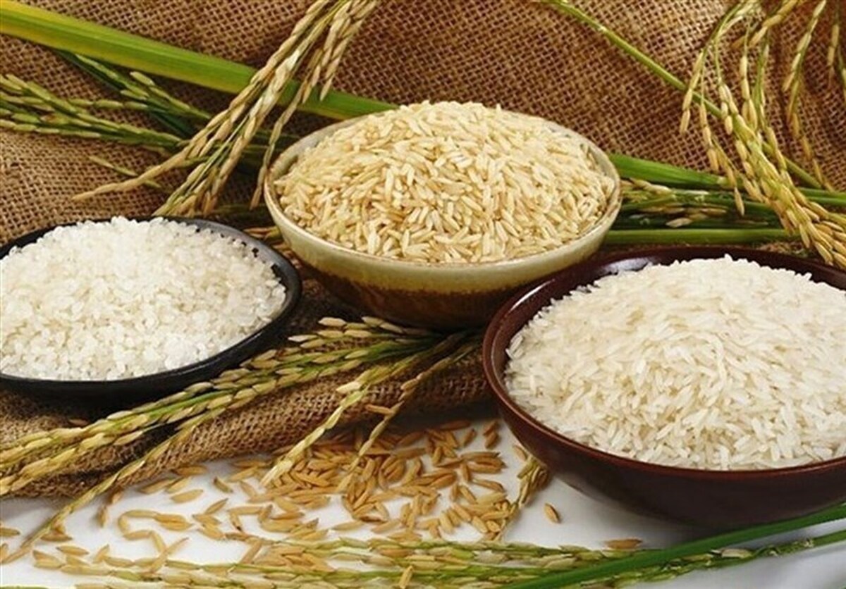 نقش تعاونی های فناورانه و اقتصاد محور در توسعه زنجیره ارزش برنج در مازندران