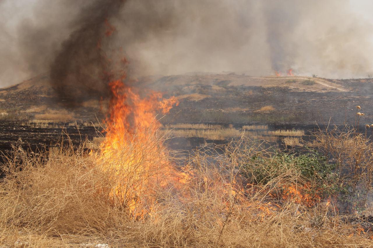 با آتش زدن زمین های کشاورزی برخورد قانونی می شود