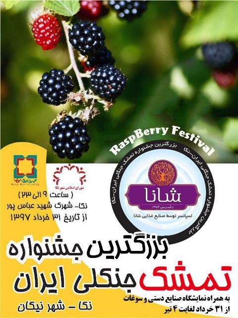 پوستر بزرگترین جشنواره تمشک جنگلی ایران درشهرستان نکا 