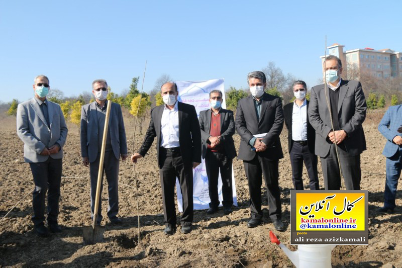 پیشگامی دانشگاه آزاد اسلامی واحد آیت ا... آملی  در اجرای طرح میراث ماندگار (زراعت چوب )