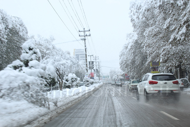 گزارش تصویری کمال آنلاین از یک روز برفی در آمل 
