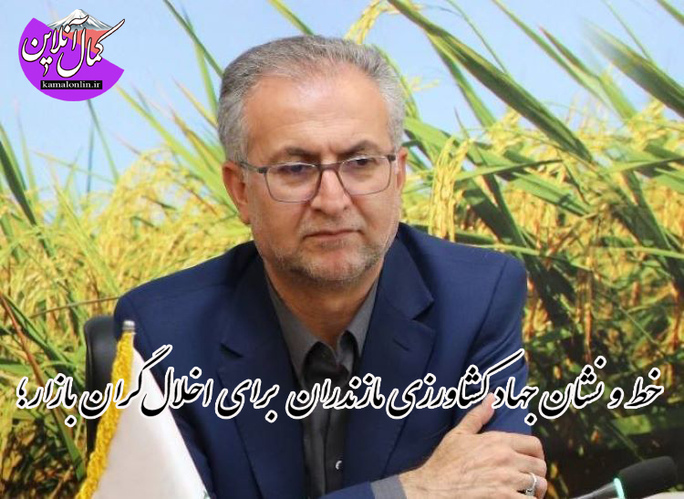تشکیل ۴۹۰ پرونده تخلف نهاده‌های دامی و کالاهای اساسی