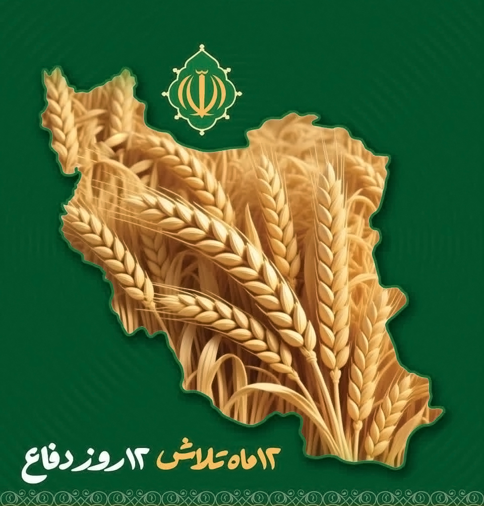 از میدان مدیریت تا میدان نبرد / پیوند ناگسستنی سازندگی و دفاع در هفته دولت