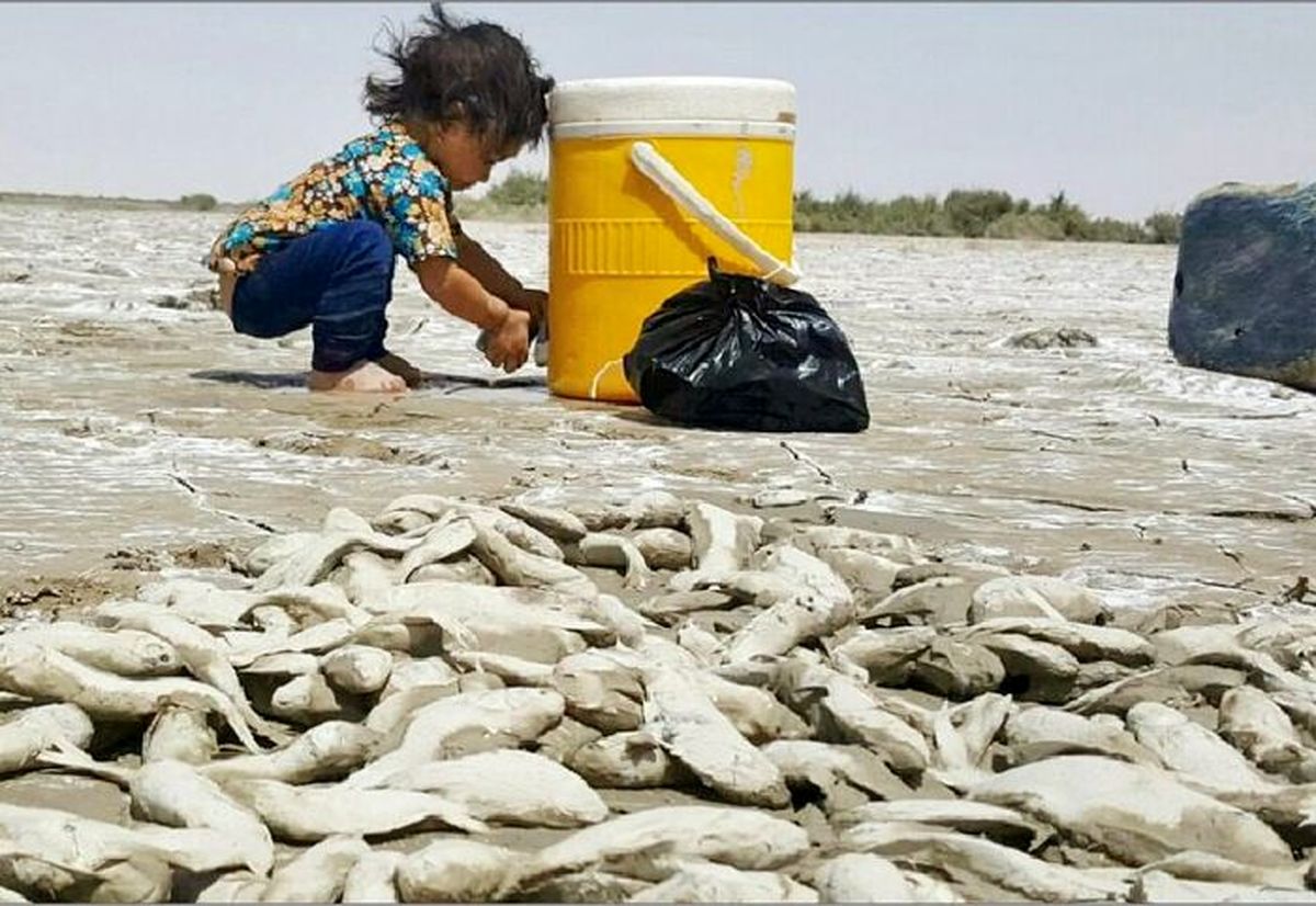 کمبود آب در راه مازندران سرسبز