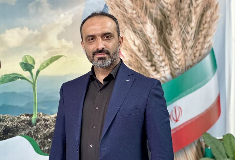 تأمین بیش از سه هزار تن بذر گندم گواهی شده با هدف ارتقای امنیت غذایی و خودکفایی 