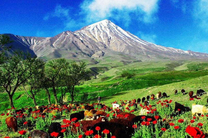 اهمیت سرمایه گذاری در گردشگری مازندران  یادداشتی از علیرضا عزیزکمالی