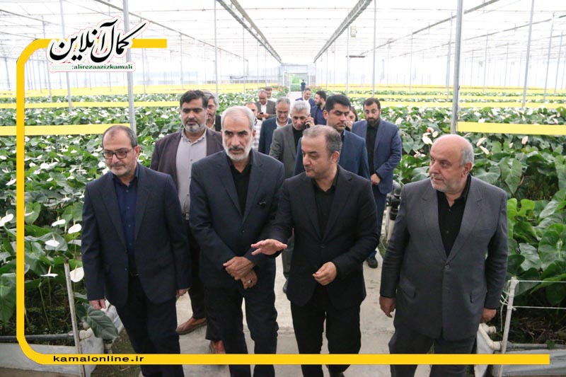 گزارش تصویری کمال آنلاین: بازدید استاندار مازندران از بزرگترین مجموعه گلخانه‌ای گل زینتی رویش طبرستان آمل