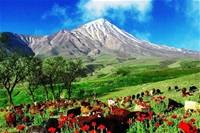 اهمیت سرمایه گذاری در گردشگری مازندران  یادداشتی از علیرضا عزیزکمالی