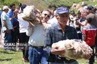 گزارش تصویری کمال آنلاین: آیین سنتی برف چال  در منطقه اسک وشِ آب اسک آمل